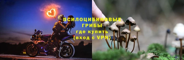 ГАЛЛЮЦИНОГЕННЫЕ ГРИБЫ Абинск
