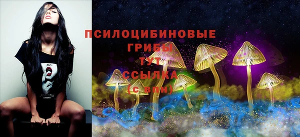 трава Абаза