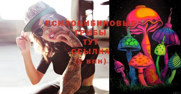 ГАЛЛЮЦИНОГЕННЫЕ ГРИБЫ Абинск