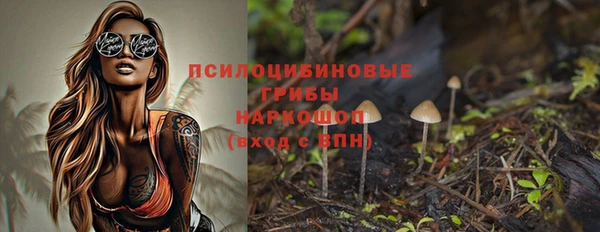 ГАЛЛЮЦИНОГЕННЫЕ ГРИБЫ Абинск