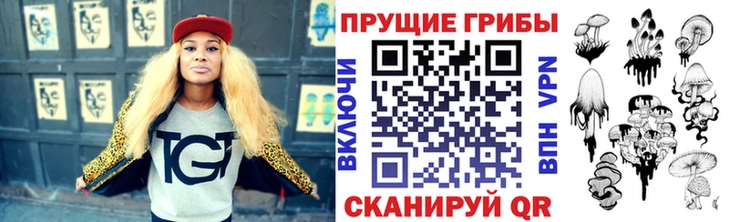Псилоцибиновые грибы MAGIC MUSHROOMS  купить  цена  Иннополис 